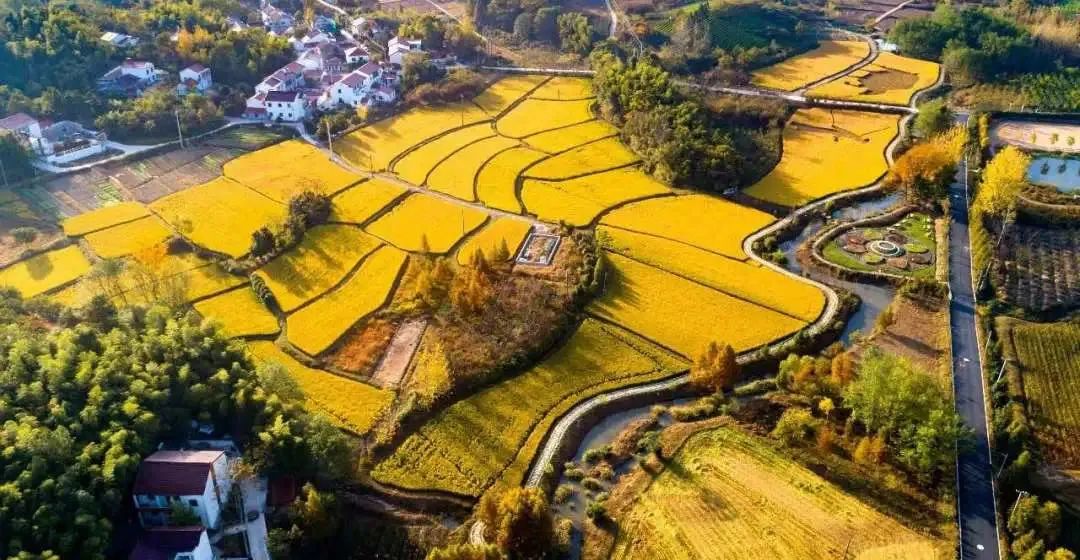 1647177102545964L7E9.jpg 6.jpg